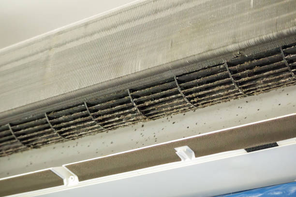 Best HVAC System Cleaning  in Sparks, GA
